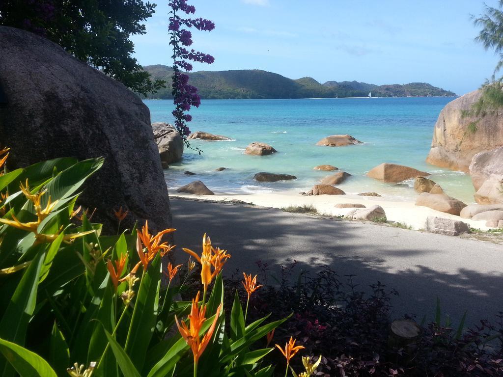 Ferienwohnung Jardin Marron Baie Sainte Anne Exterior foto